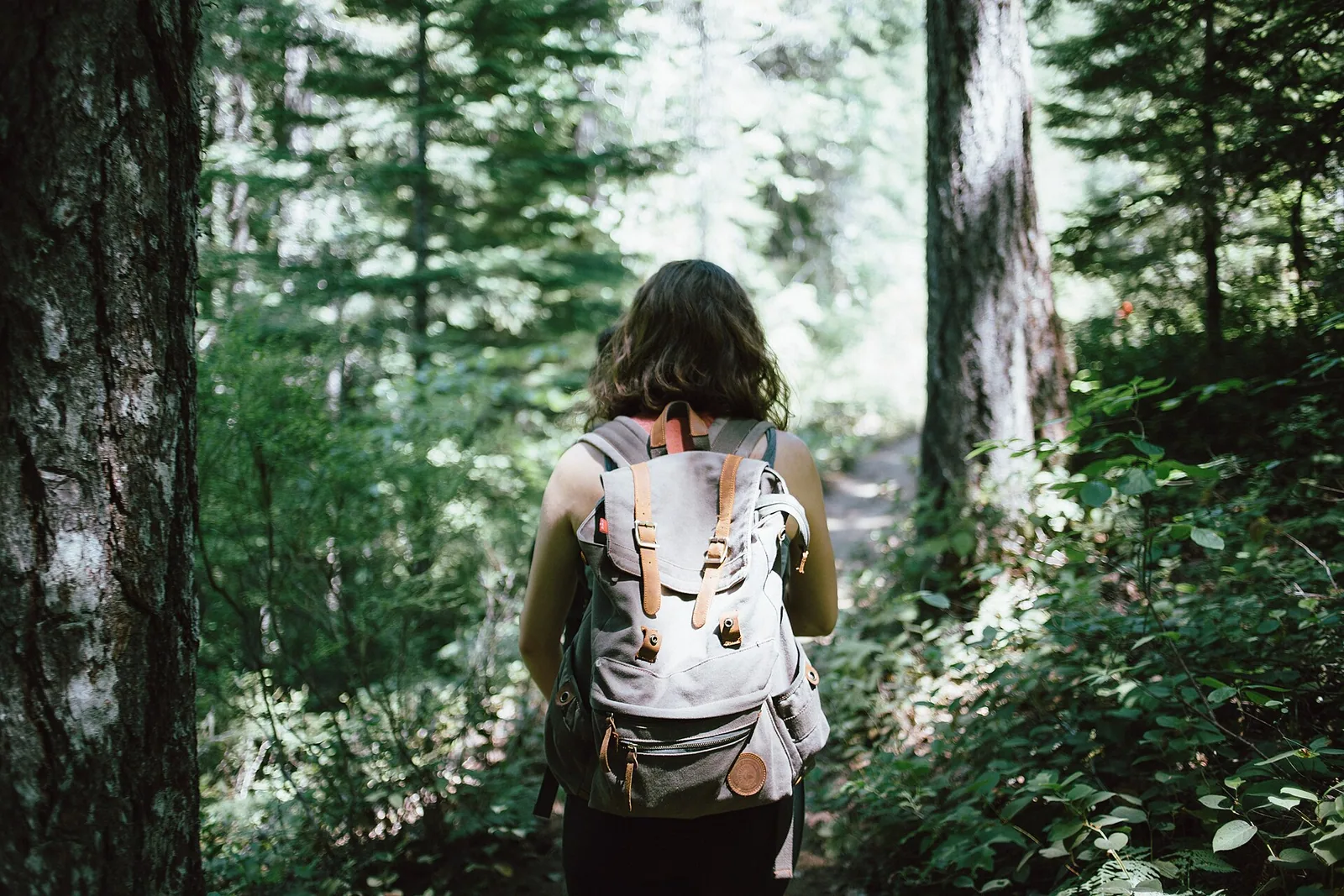Solo traveler with a large backpack walking through a forest